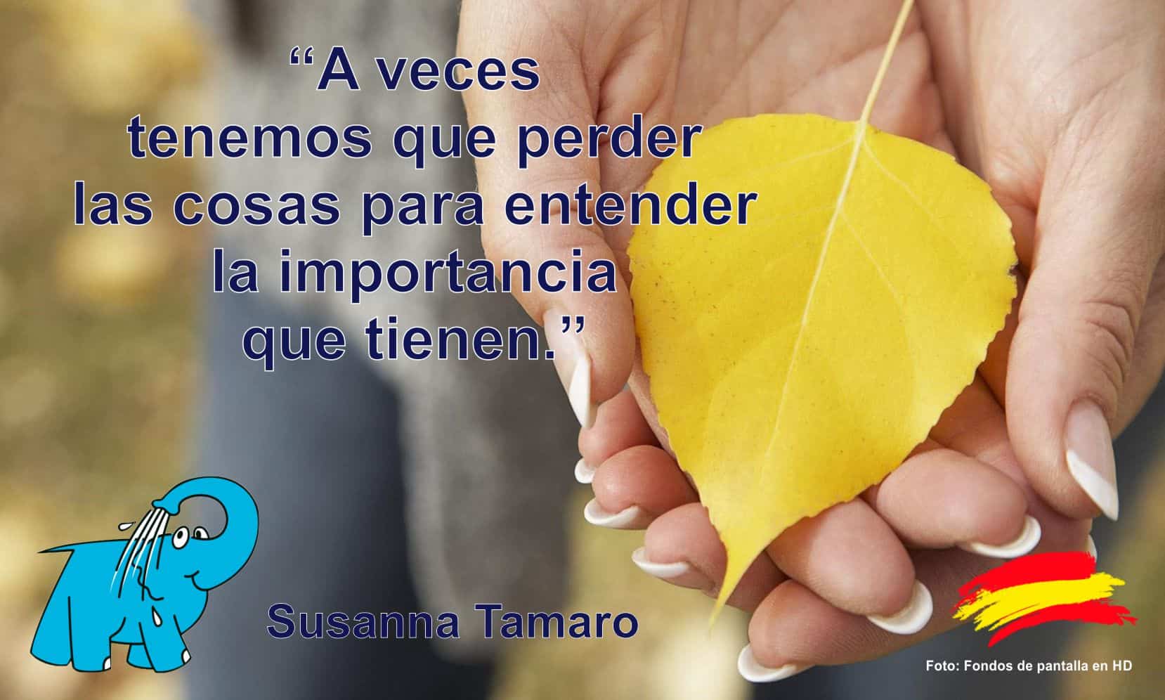 A veces tenemos que perder las cosas para entender la importancia que tienen.